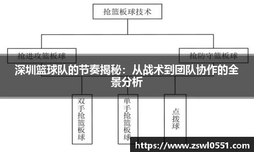深圳篮球队的节奏揭秘：从战术到团队协作的全景分析