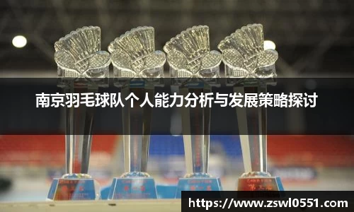 南京羽毛球队个人能力分析与发展策略探讨